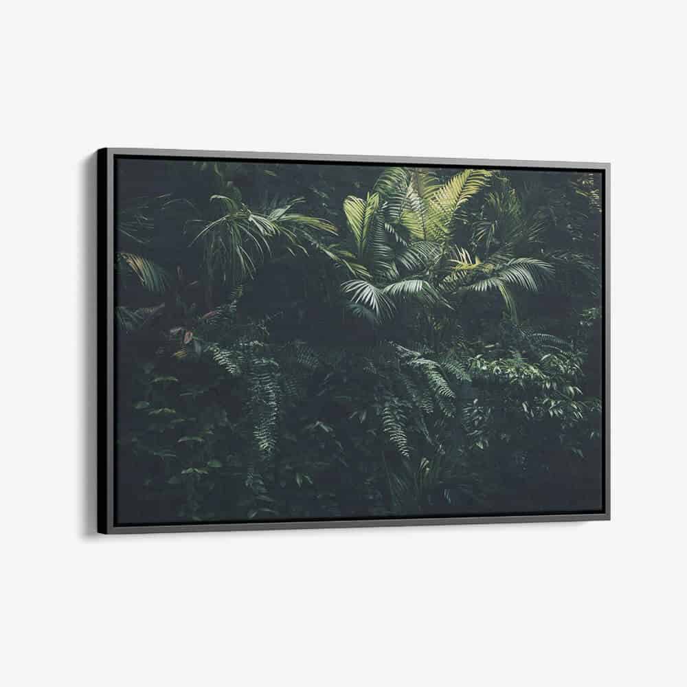 "Jungle plants"