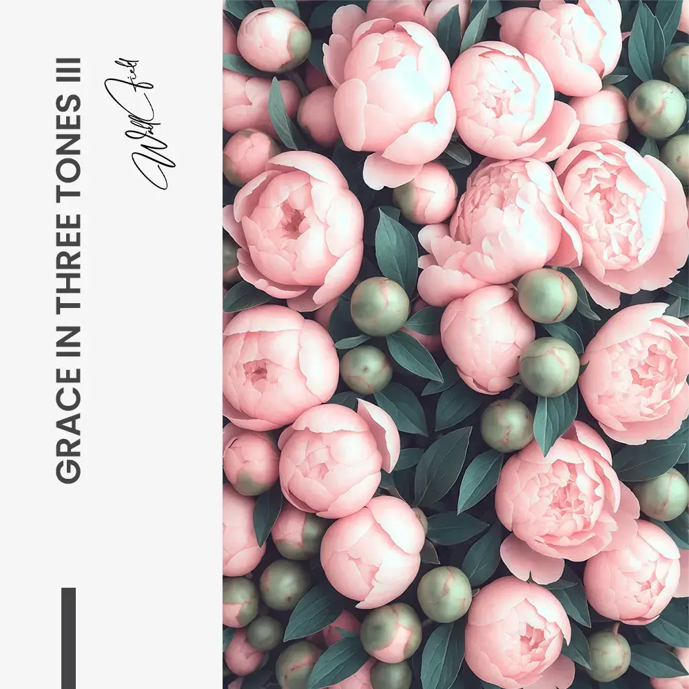 "Grace in Three Tones III"