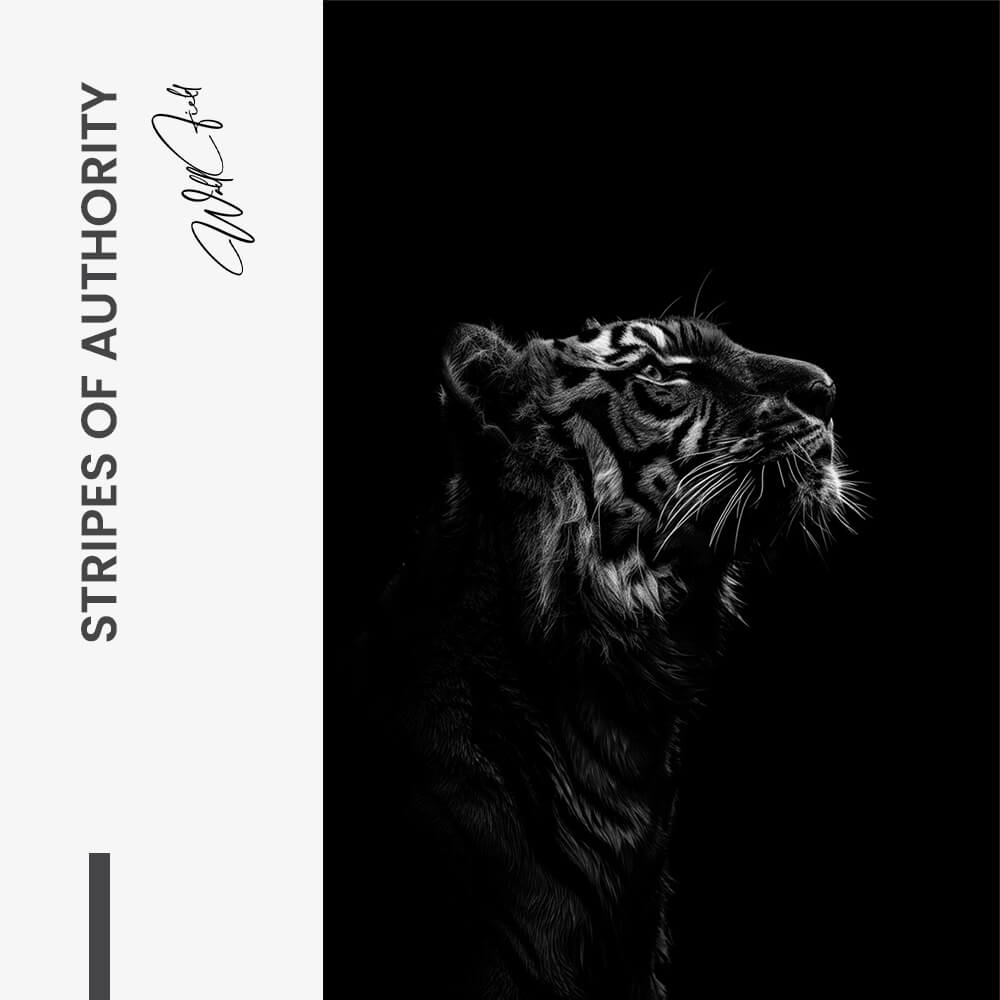 Stripes of Authority – Glass