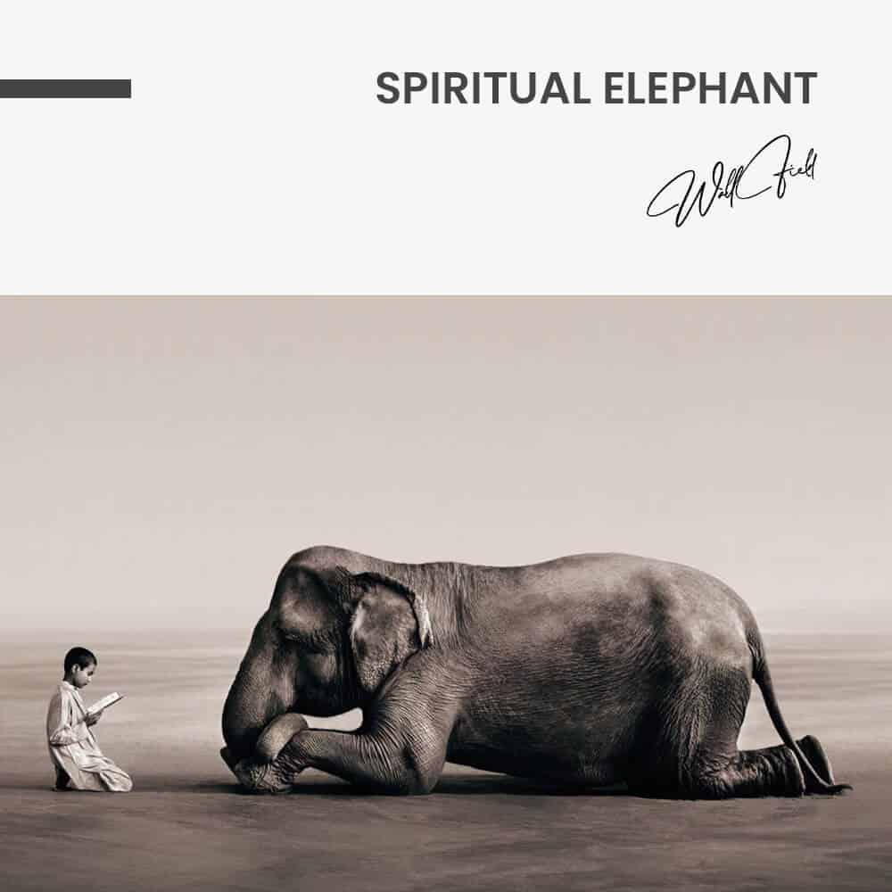 Spiritual Elephant - Vidrio