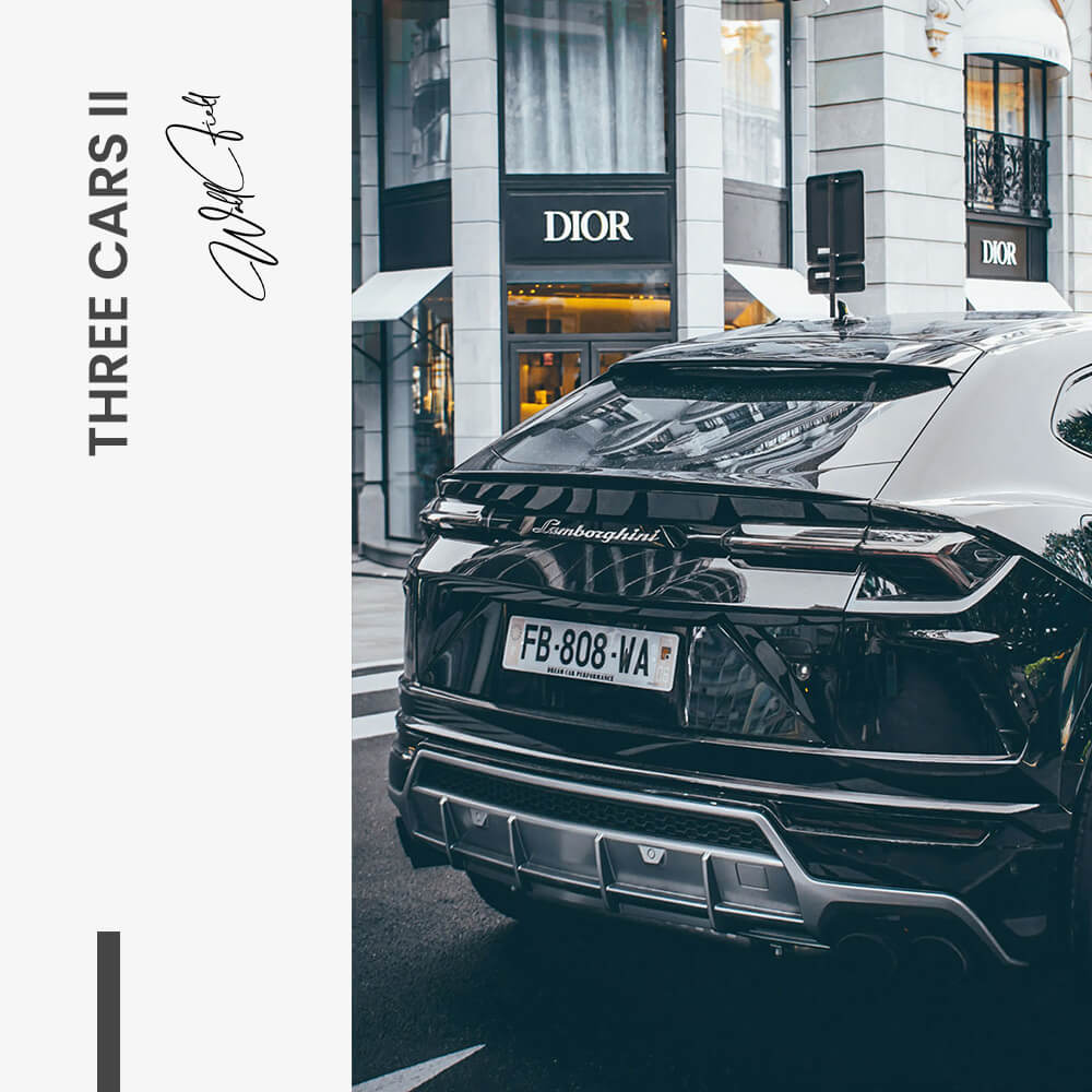 Bundel: "Fast life" (2x)