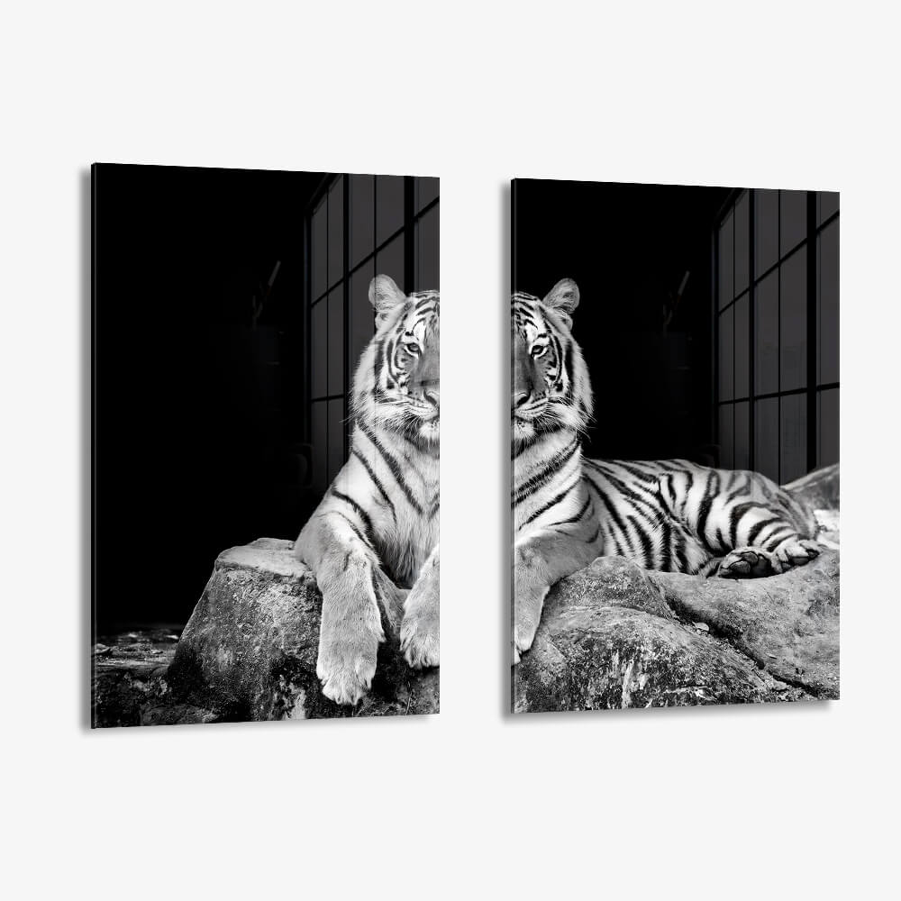 Bundle: "White Tiger" (2x) – Glass