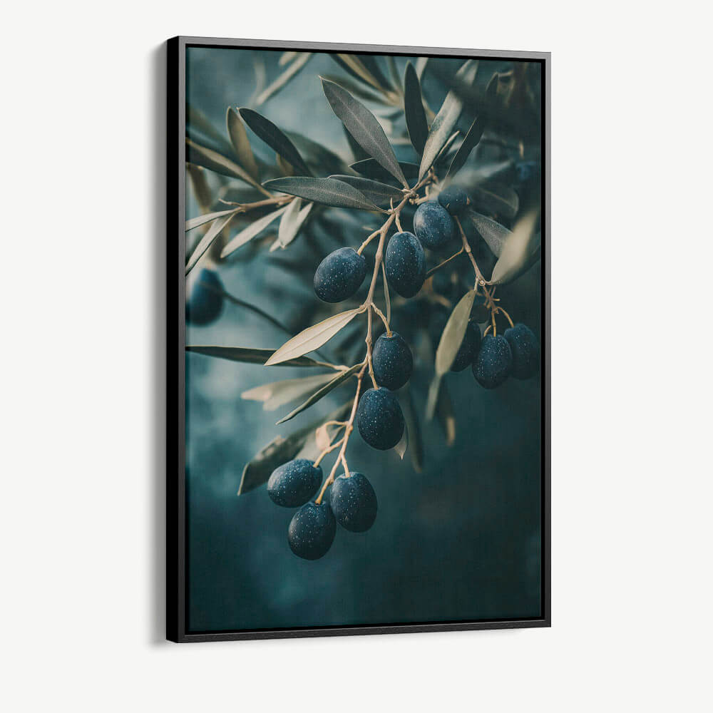 "Olive Tree Closeup"