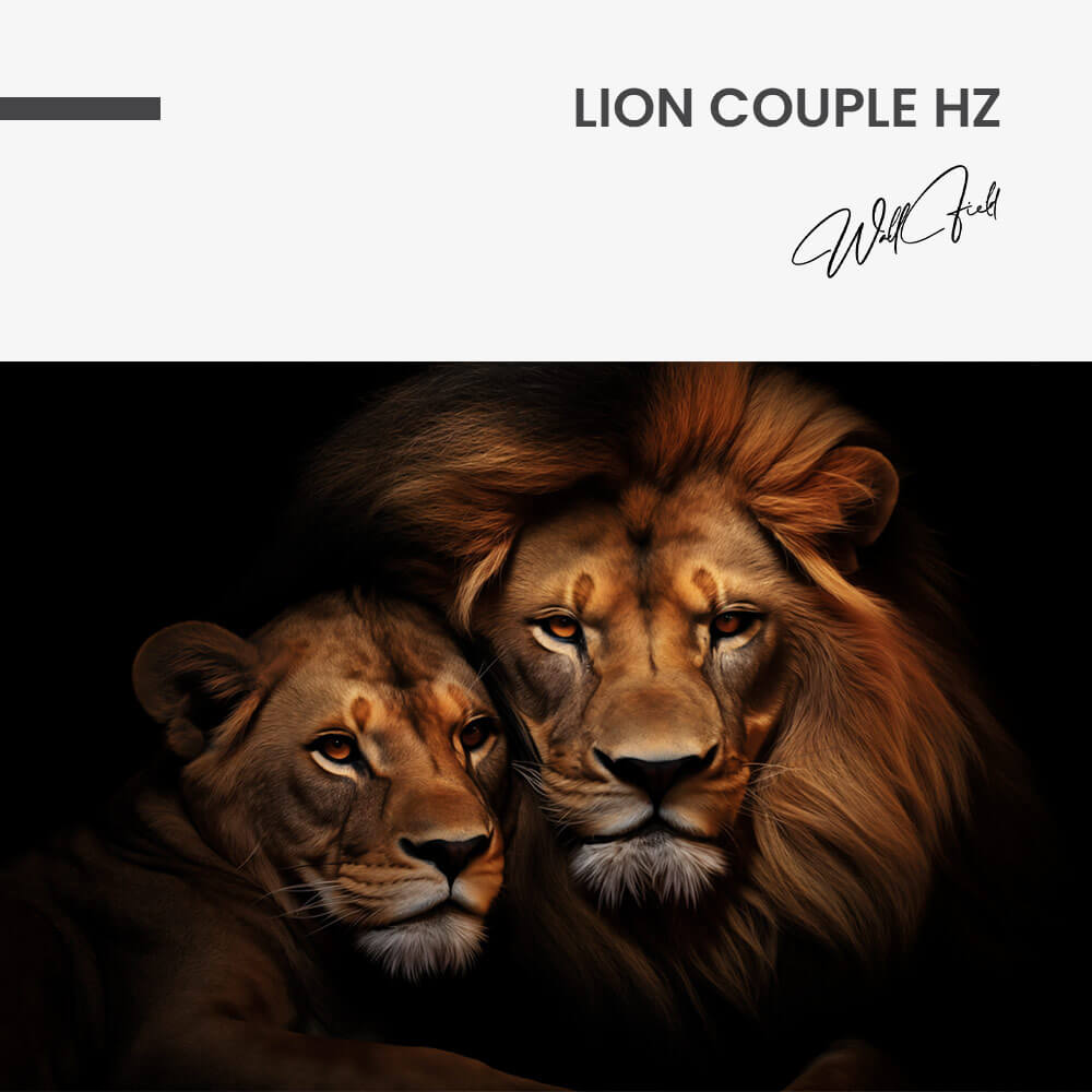 "Lion Couple HZ"