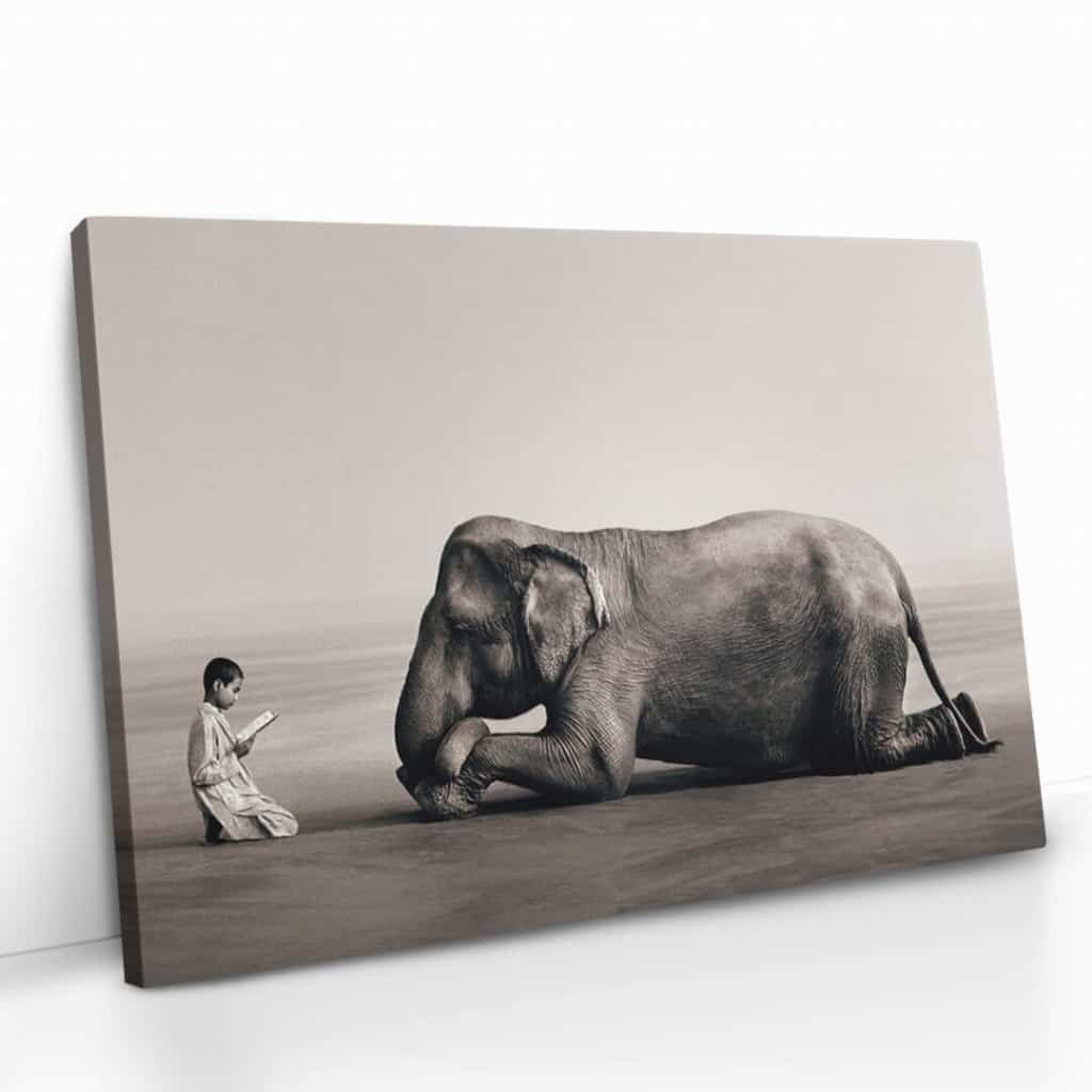 “Spiritual Elephant”