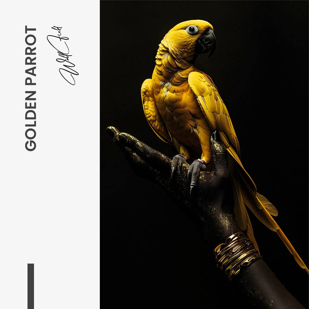 "Golden Parrot"