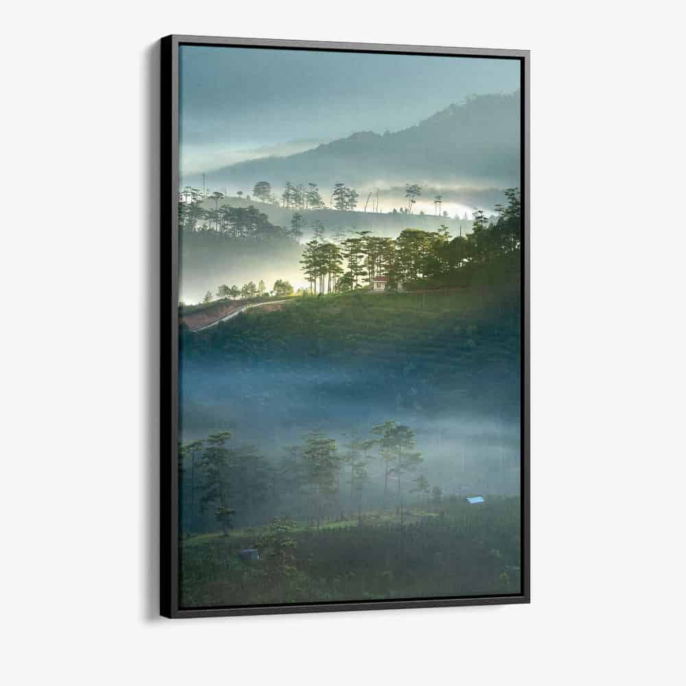 "Scenic Photography"