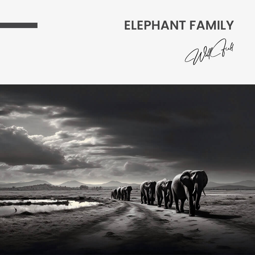 Elephant Family - Vidrio