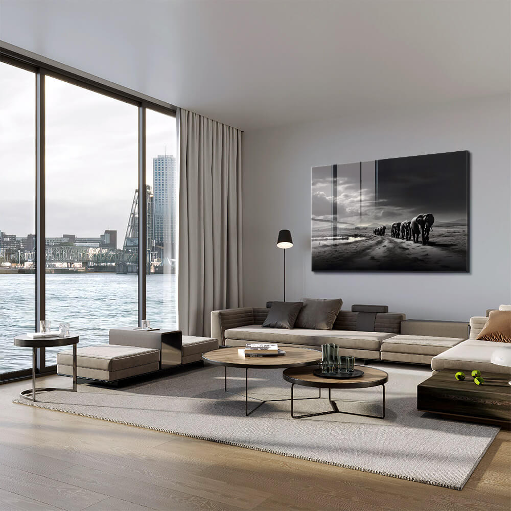 Elephant Family - Vidrio