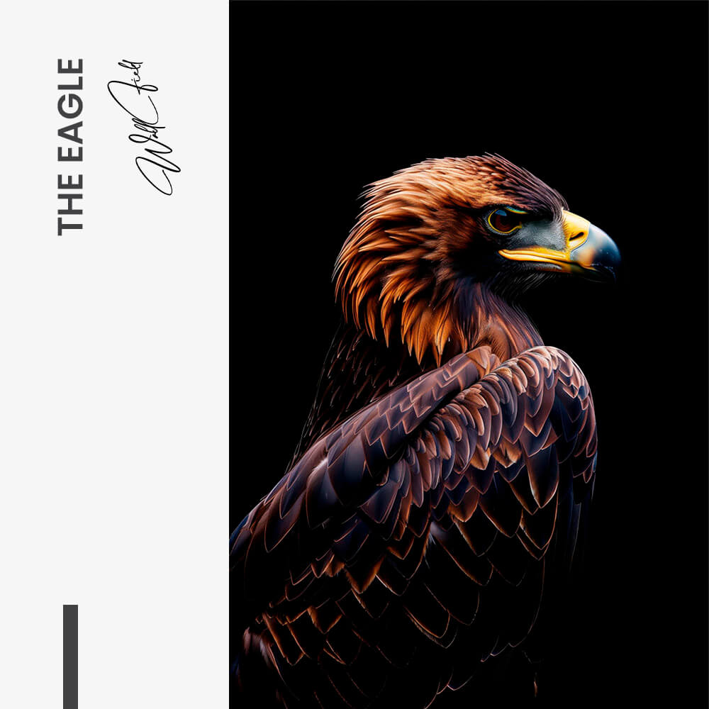 The Eagle – Vidrio