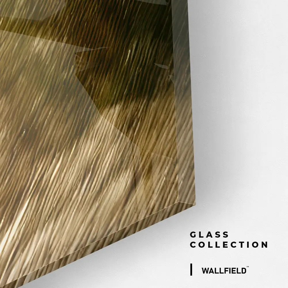 Coastal Drive – Glass