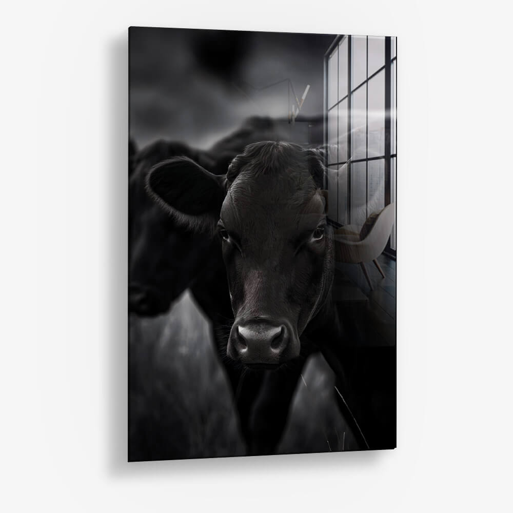 The Cow – Vidrio