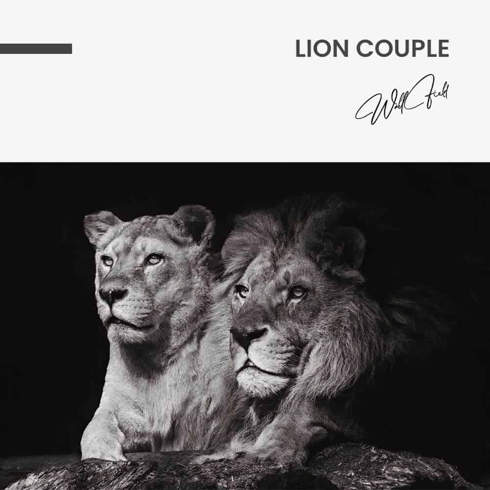 Lion Couple – Vidrio