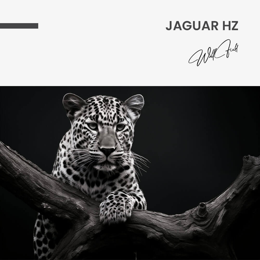Jaguar HZ – Vidrio