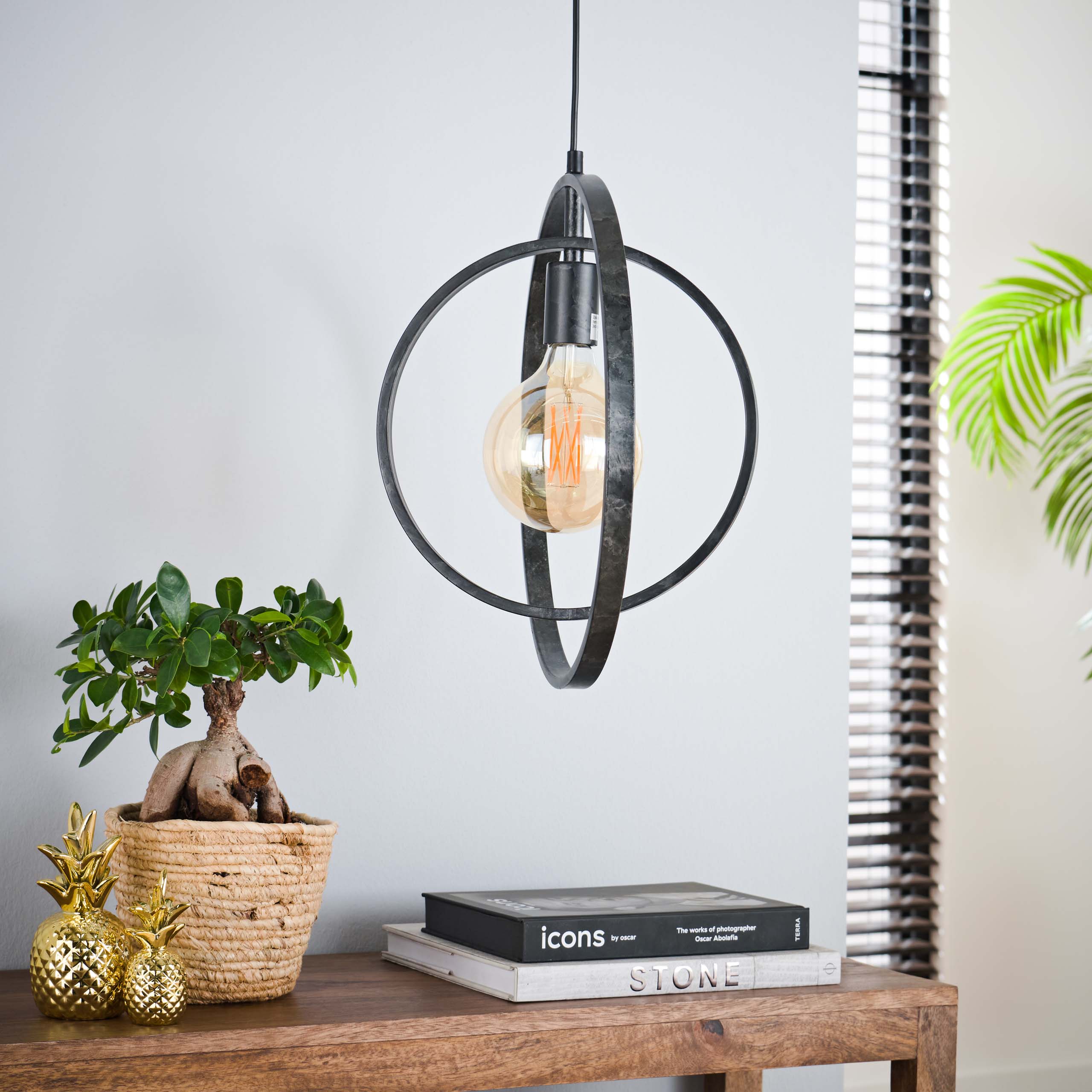 Hanging lamp Turn Around 1-light - Charcoal