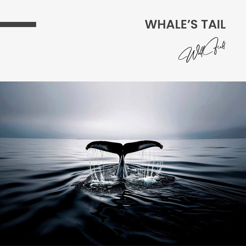 Whale's Tail – Vidrio