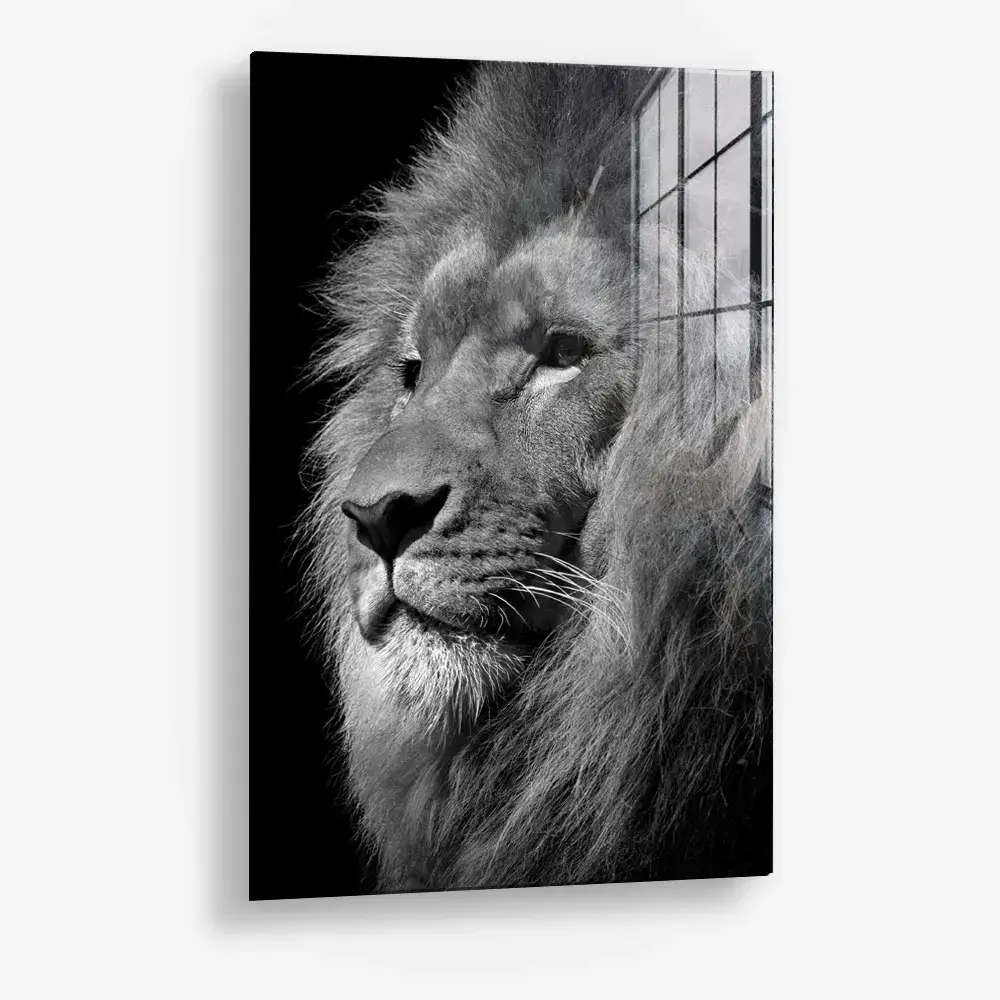 Regal Depth – Glass