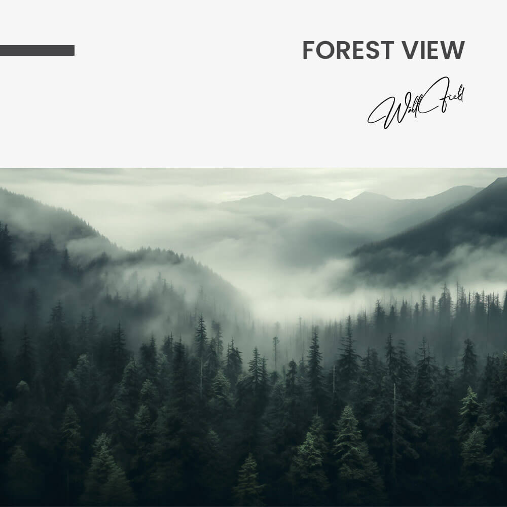 Forest View – Vidrio