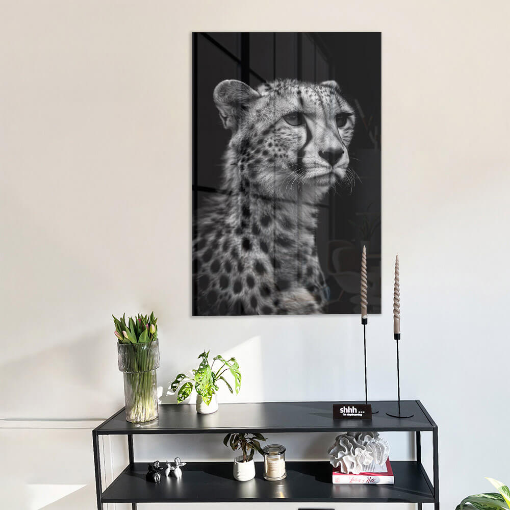 Cheetah's View – Vidrio
