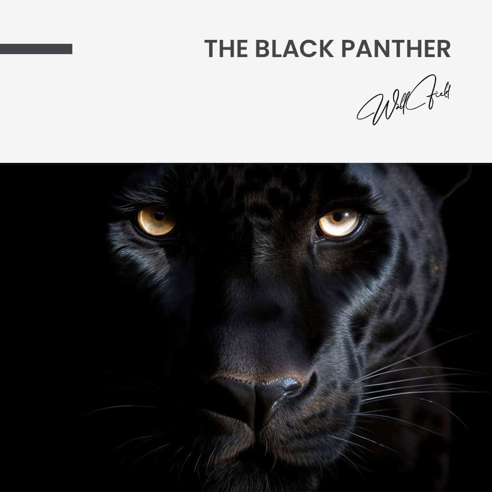 The Black Panther – Vidrio