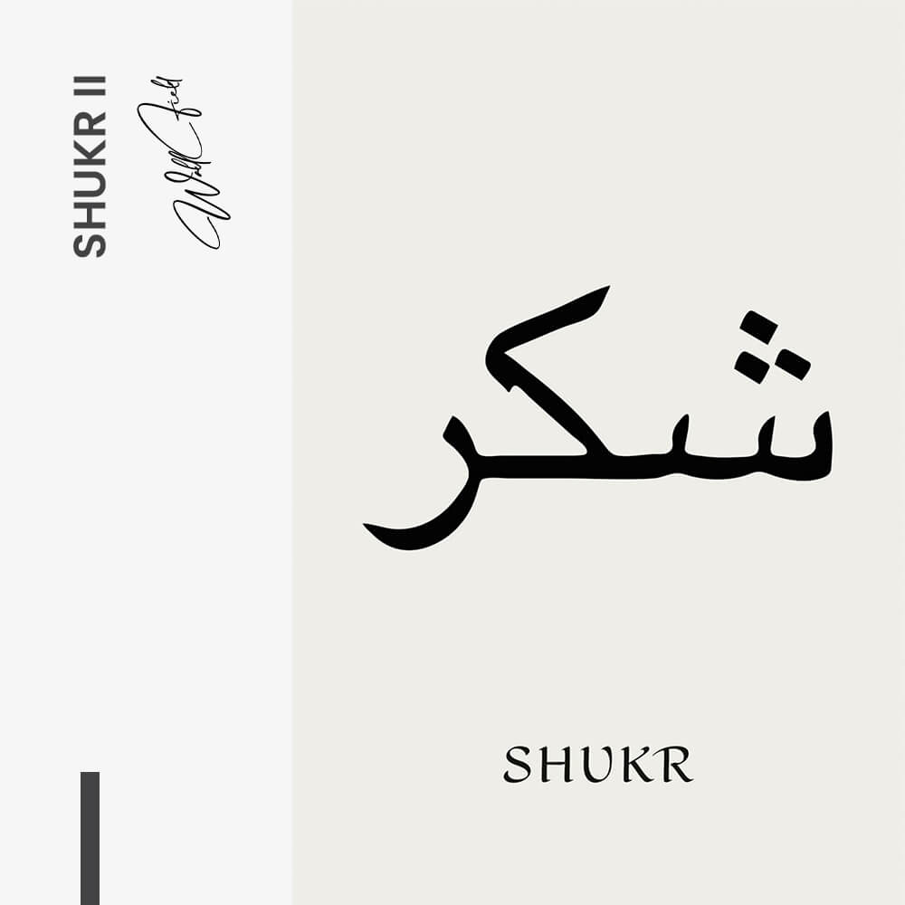 Shukr II – Vidrio