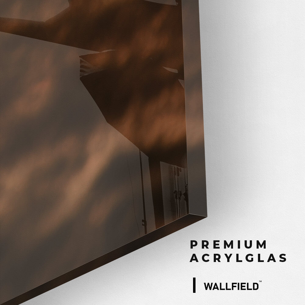 Wild Horses – Vidrio
