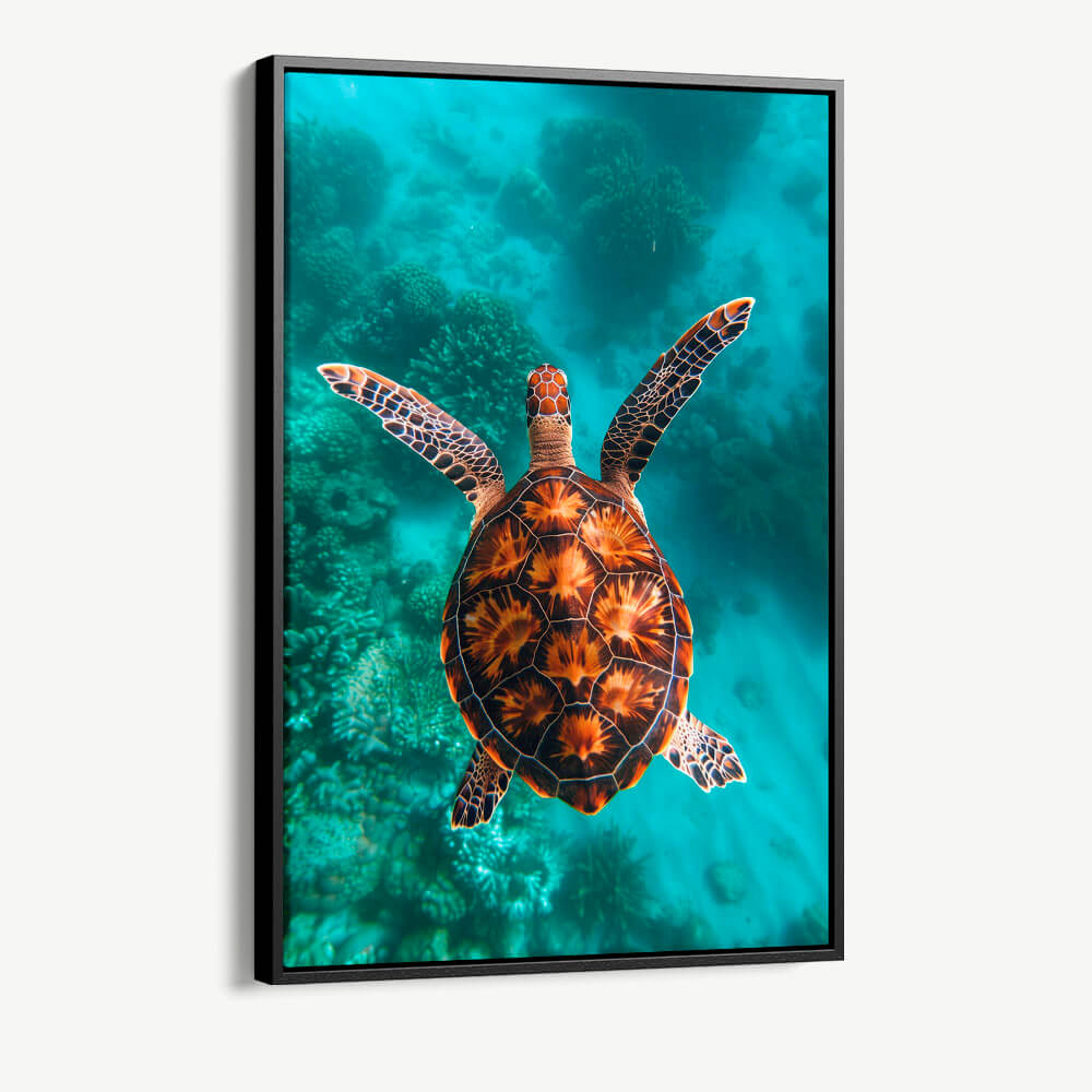 "Sea Turtle VT"