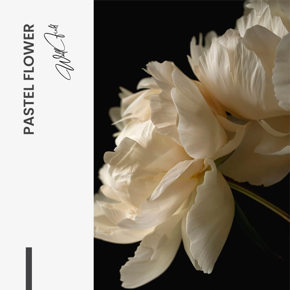 Pastel Flower – Vidrio