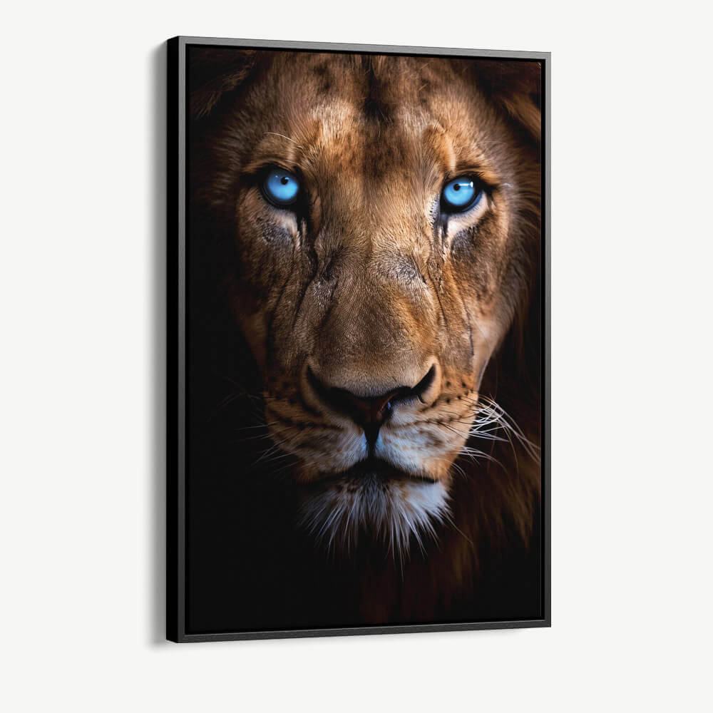 "Lion's Close-up"