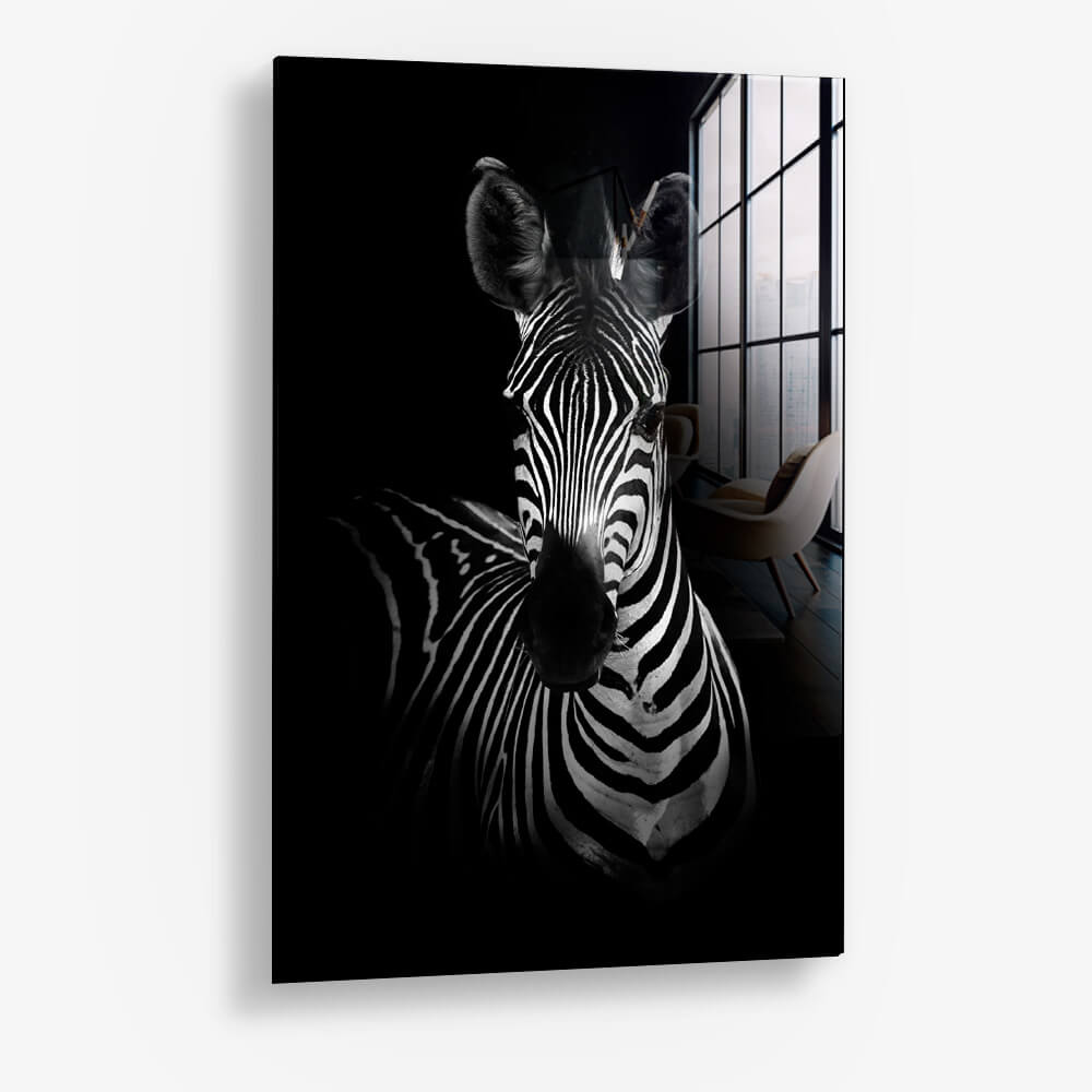 The Zebra – Vidrio