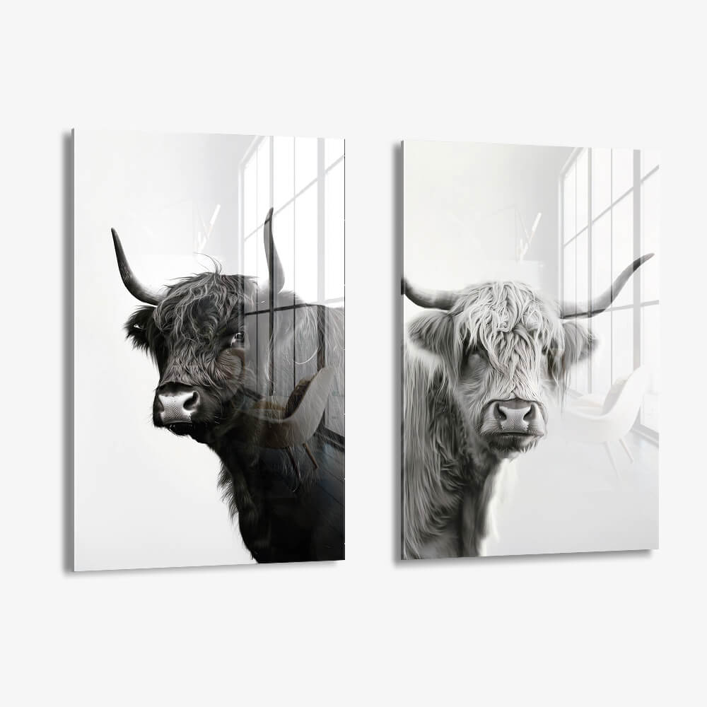 Bundle: "B&W Muscox" (2x) – Vidrio