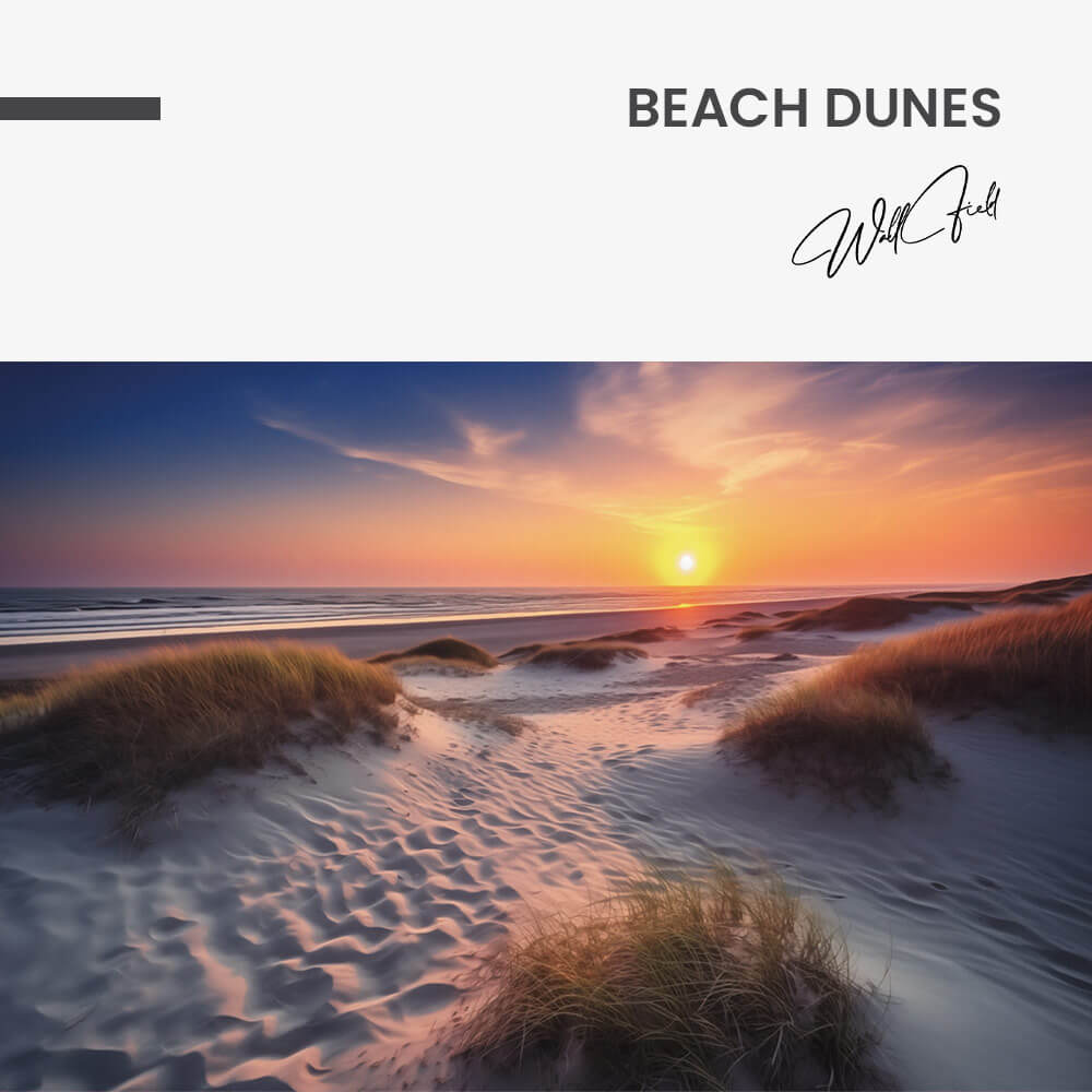 Beach Dunes – Vidrio