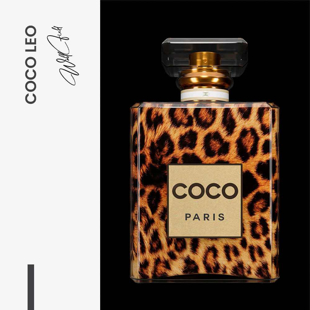 "COCO Leo"