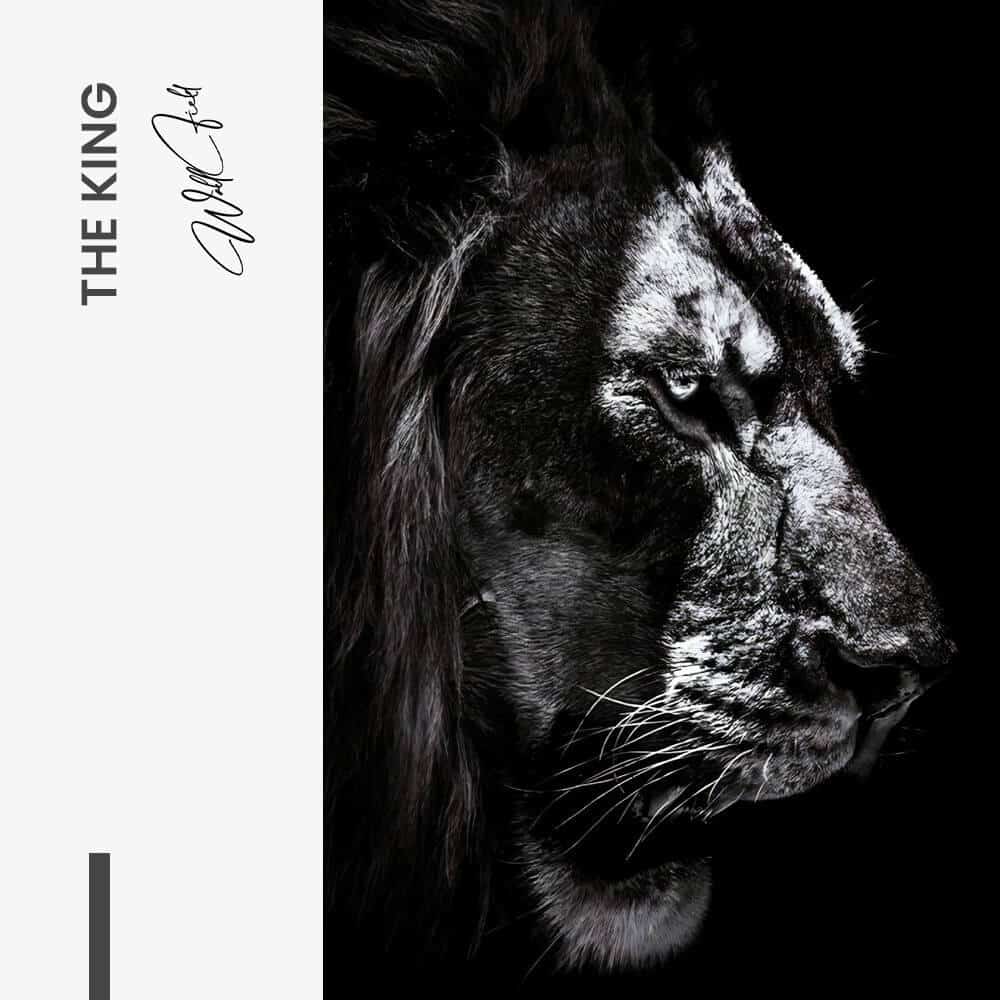 The King – Vidrio