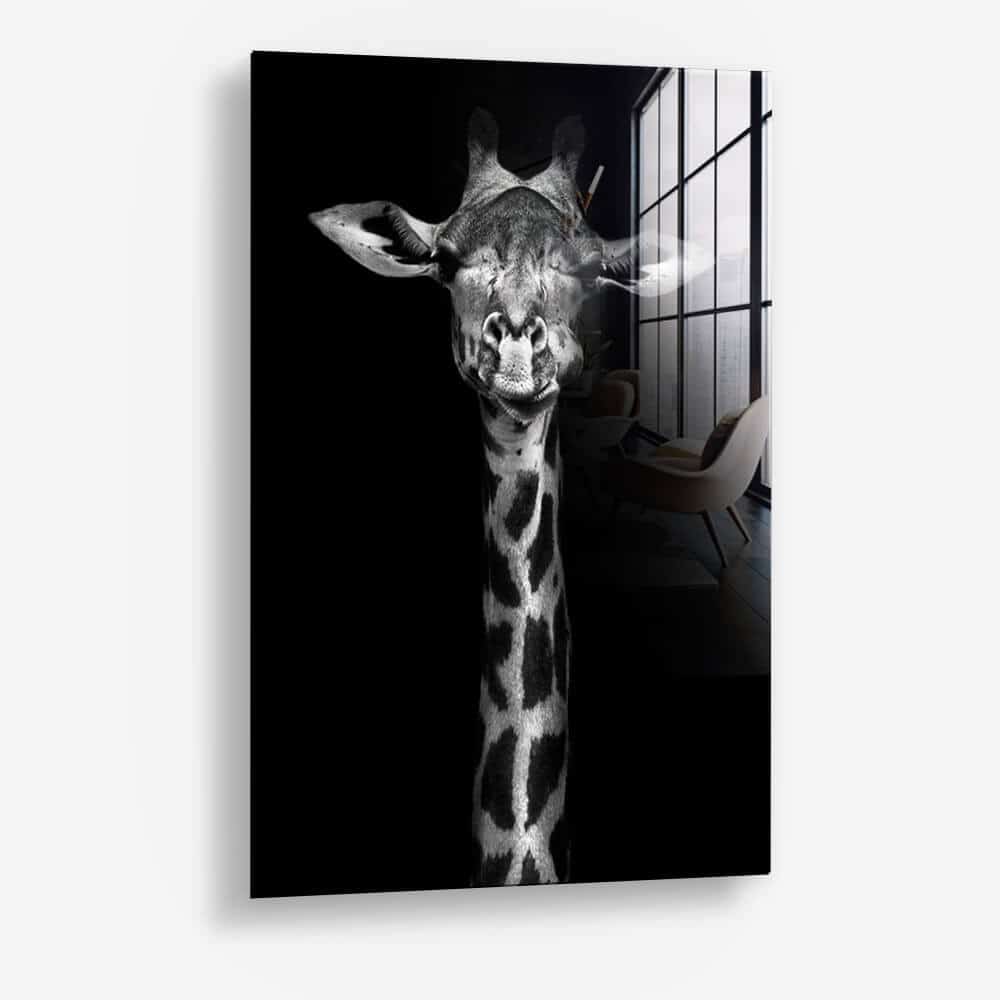 Bundle: "Black Animals" (2x) – Vidrio