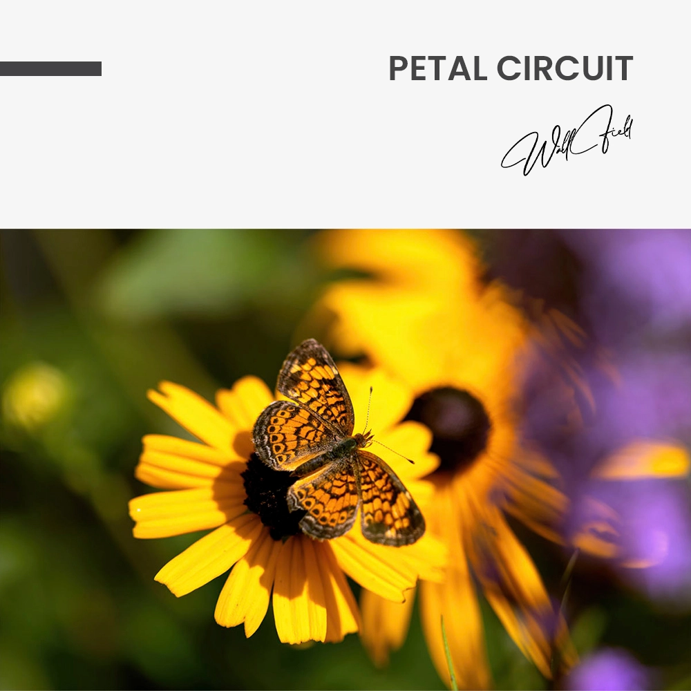 "Petal Circuit"