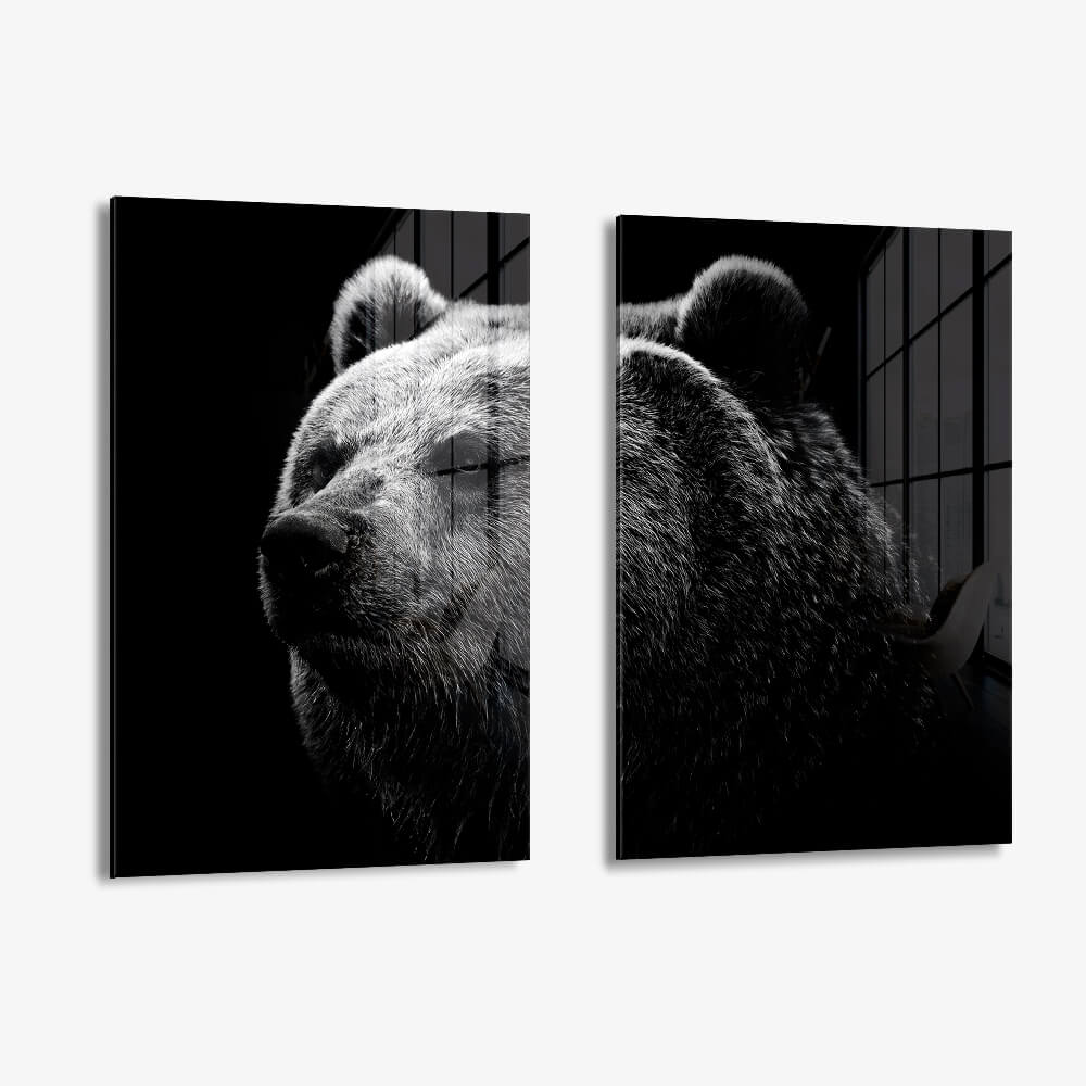 Bundle: "Big Bear" (2x) – Vidrio