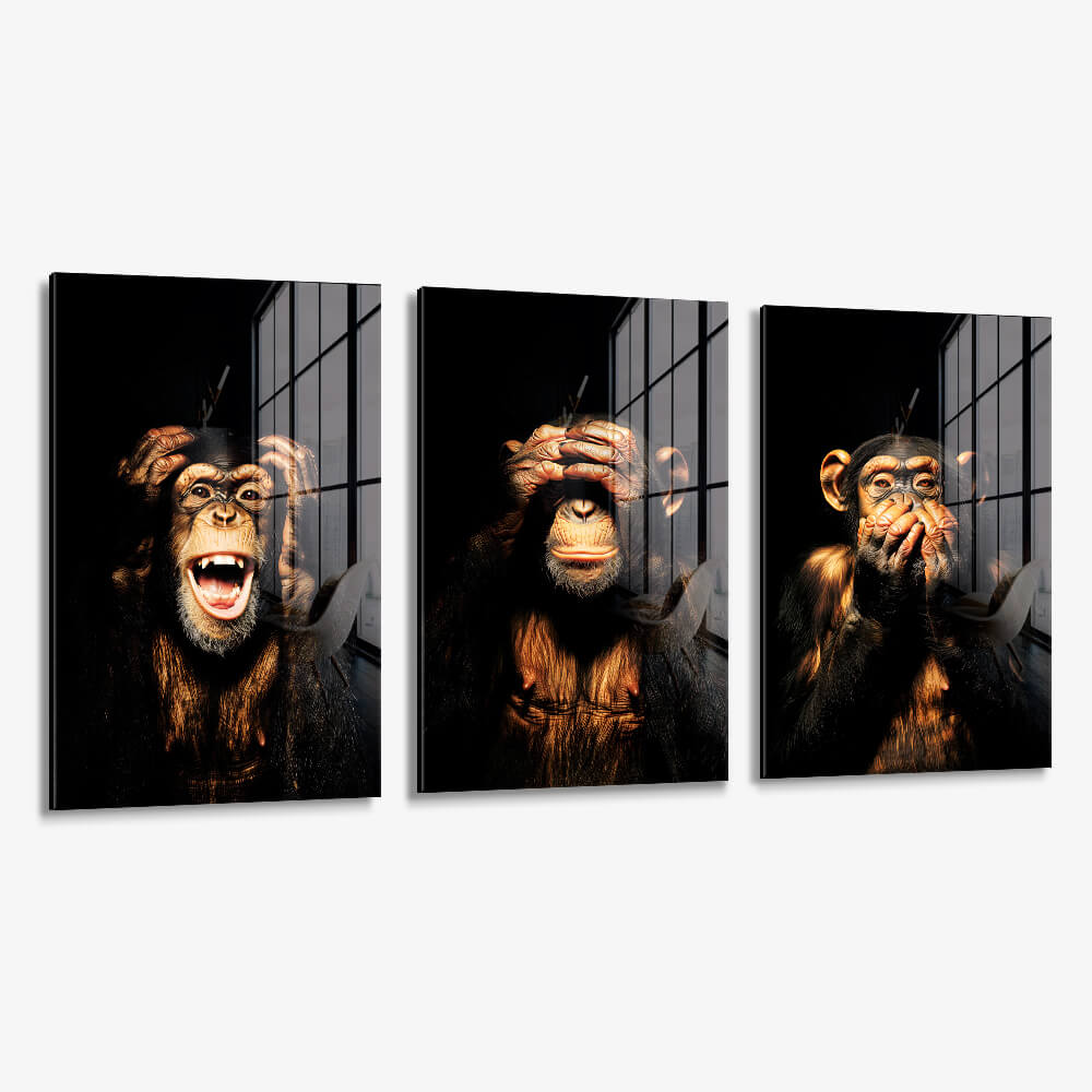 Bundle: "3 Wise Monkeys II" (3x) – Vidrio