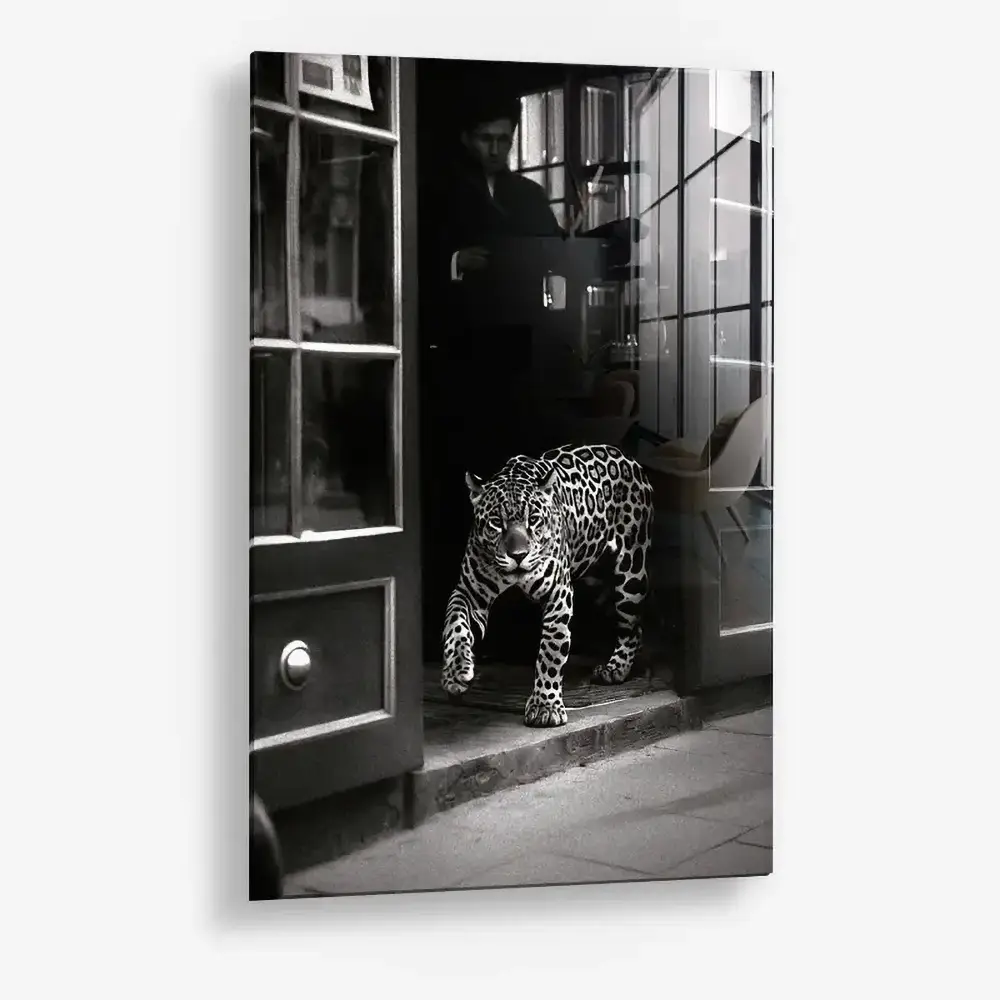 Urban Prowl – Glass