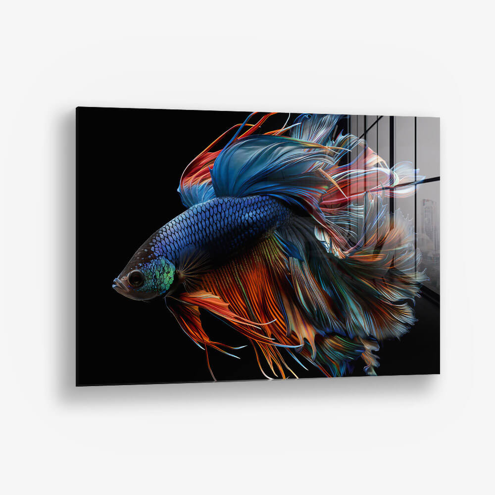 Betta Fish – Vidrio