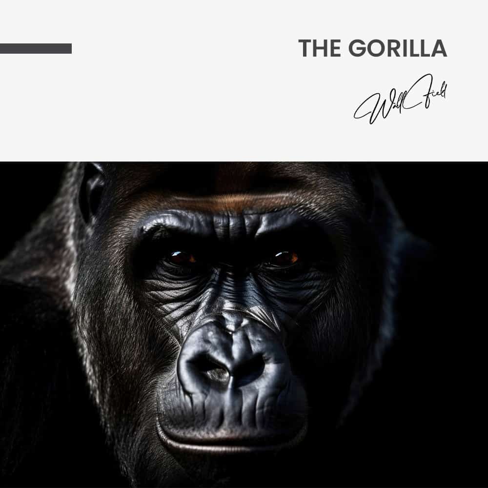 The Gorilla – Vidrio