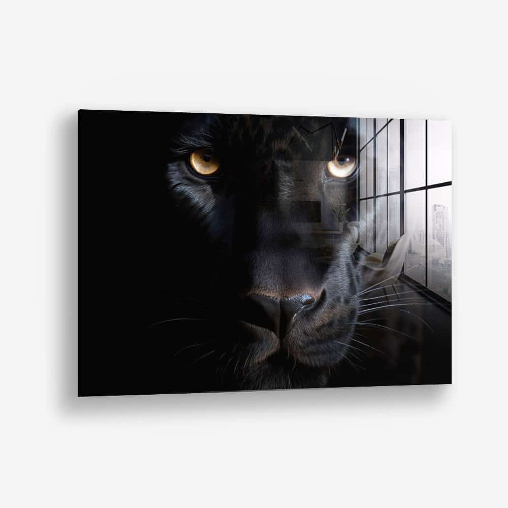 The Black Panther – Vidrio