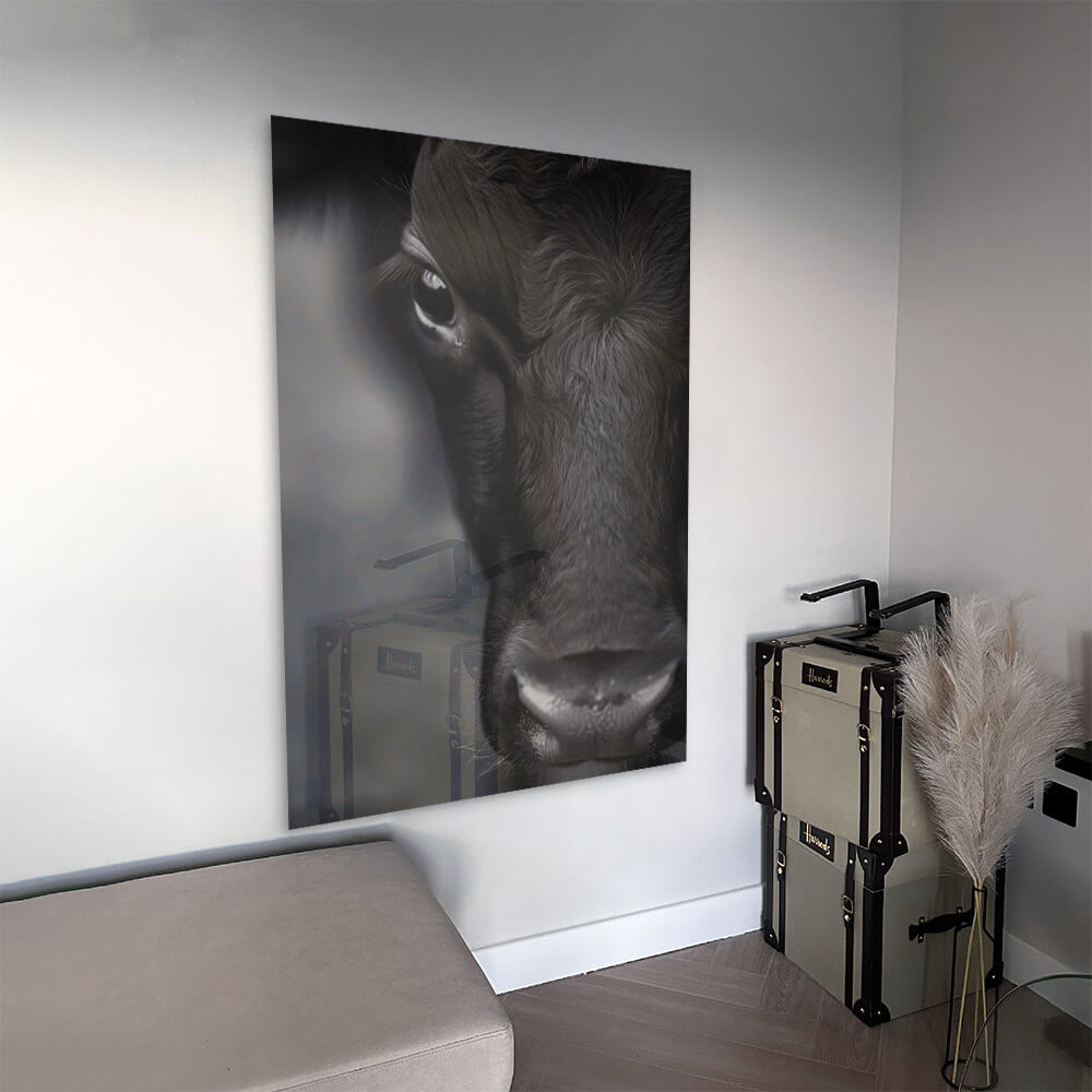 Cow Close-Up – Vidrio