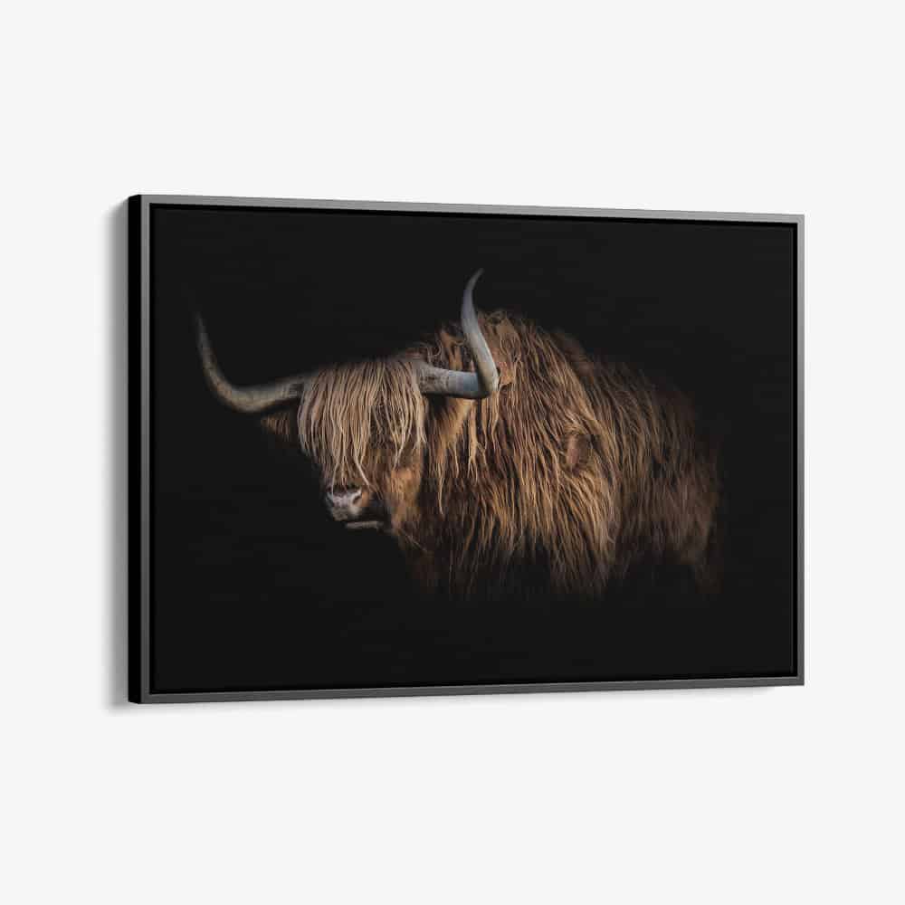 "Highlander"