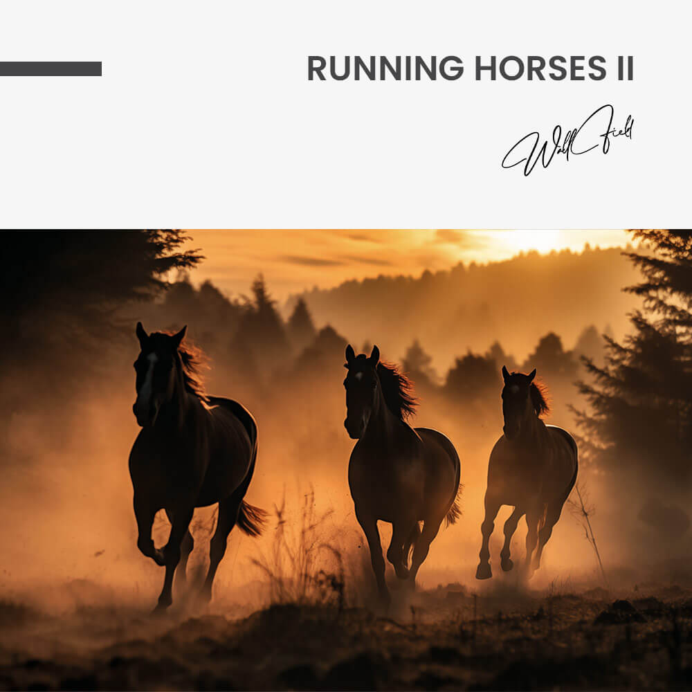 Running Horses II – Vidrio