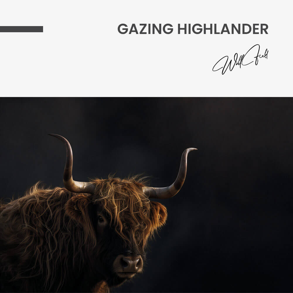 Gazing Highlander – Vidrio
