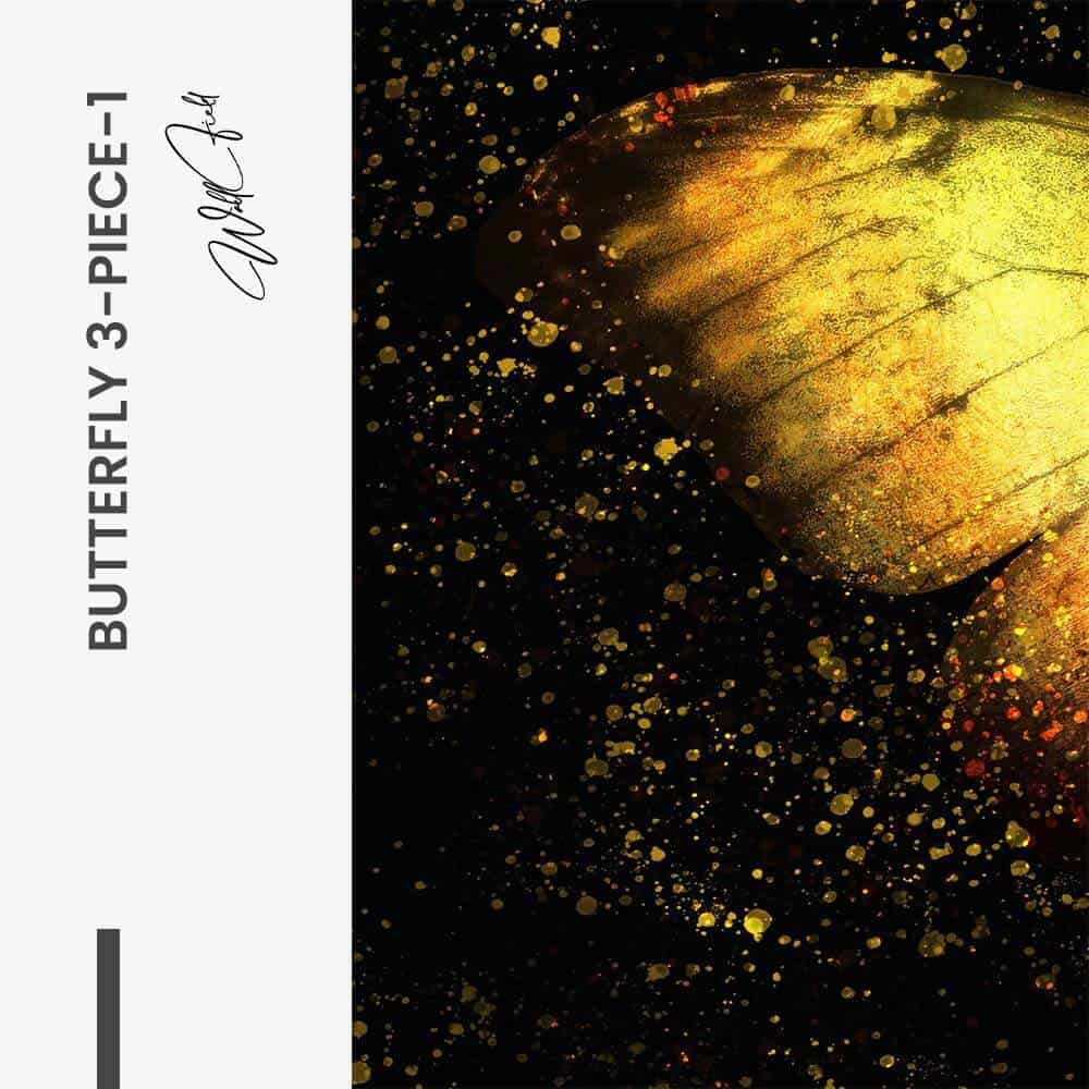 Bundle: "Butterfly 3-Piece" (3x) – Glass