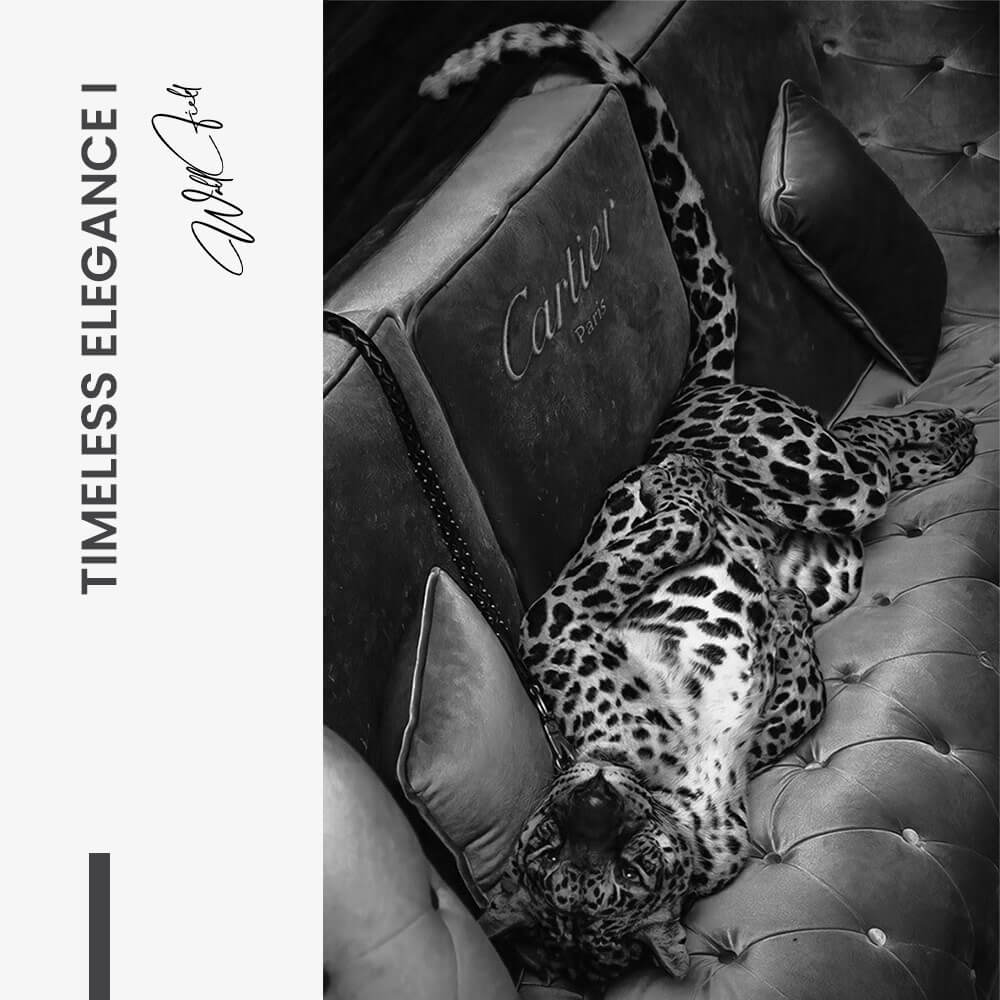 Bundle: "Timeless Elegance" (2x) – Vidrio