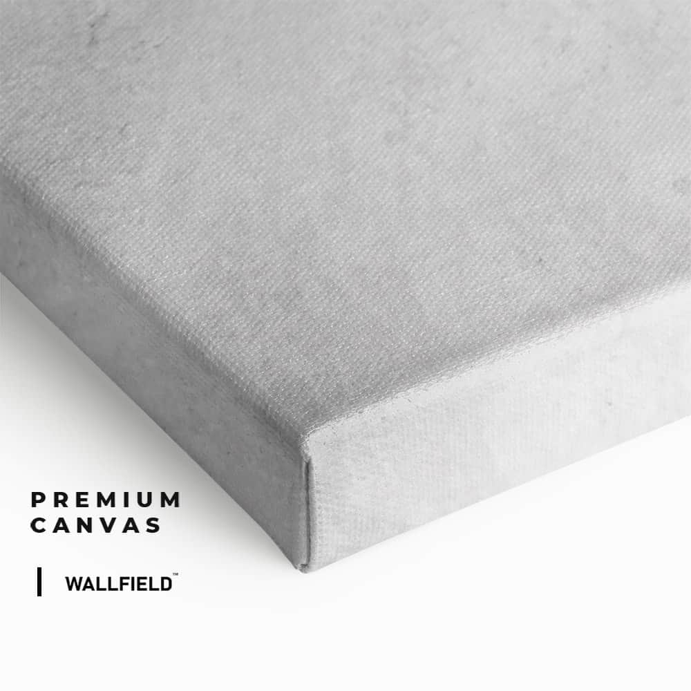 "David of Michelangelo"