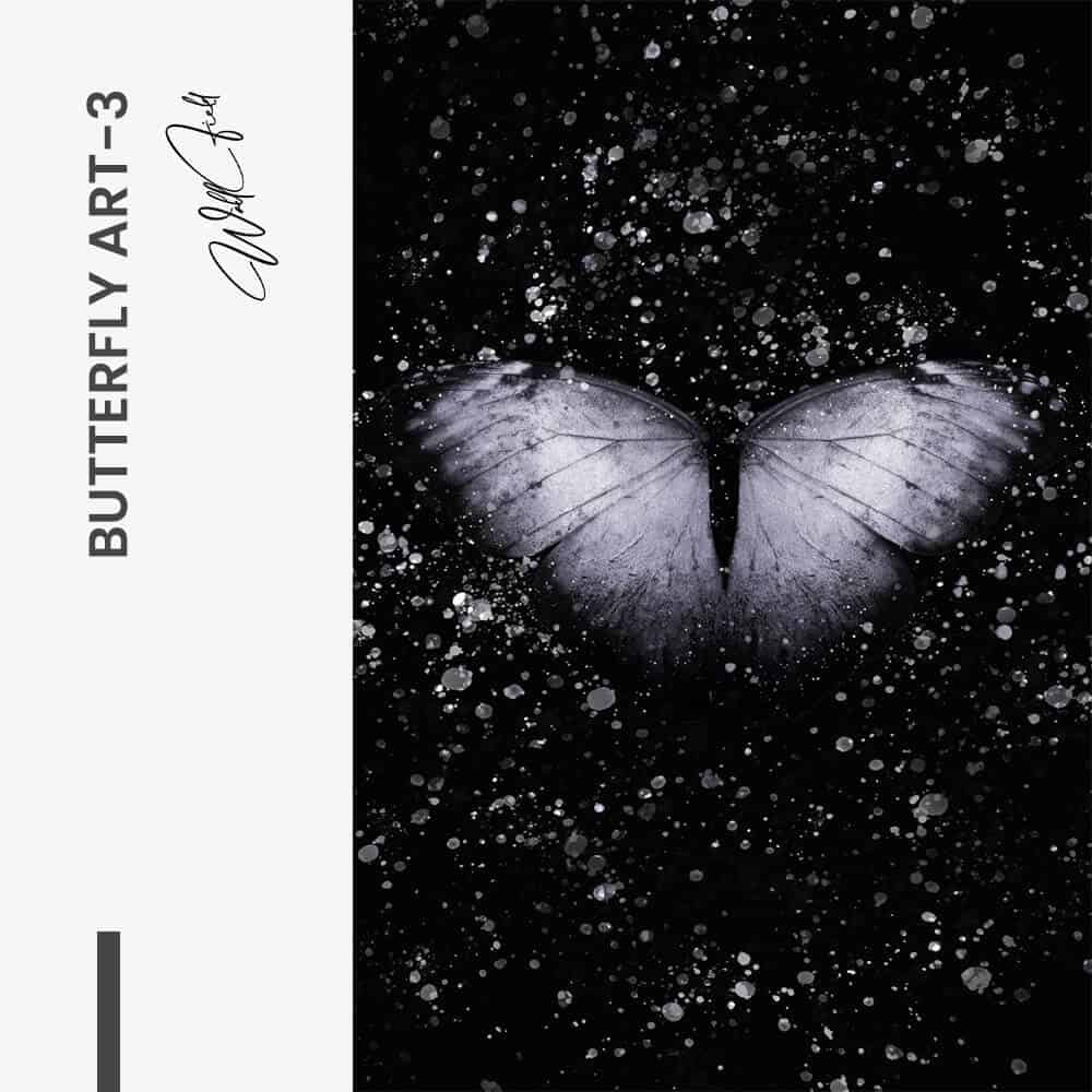 Bundle: "Butterfly Art" (3x) – Vidrio